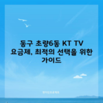 동구 초량6동 KT TV 요금제, 최적의 선택을 위한 가이드