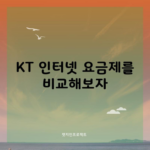 KT 인터넷 요금제를 비교해보자