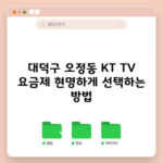 대덕구 오정동 KT TV 요금제 현명하게 선택하는 방법