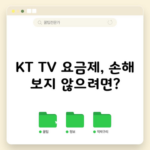 KT TV 요금제, 손해 보지 않으려면?