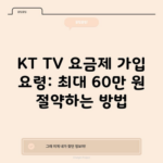 KT TV 요금제 가입 요령: 최대 60만 원 절약하는 방법