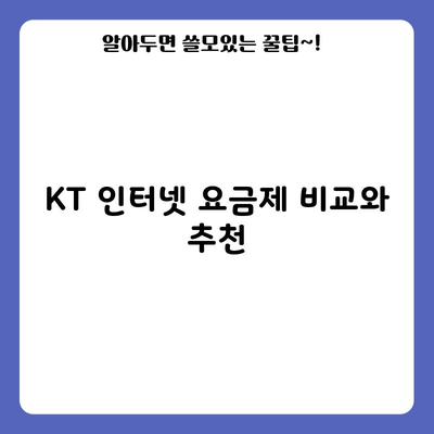 KT 인터넷 요금제 비교와 추천