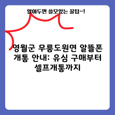 영월군 무릉도원면 알뜰폰 개통 안내: 유심 구매부터 셀프개통까지