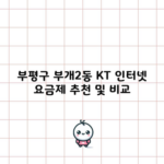 부평구 부개2동 KT 인터넷 요금제 추천 및 비교