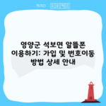 영양군 석보면 알뜰폰 이용하기: 가입 및 번호이동 방법 상세 안내