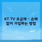 KT TV 요금제 – 손해 없이 가입하는 방법