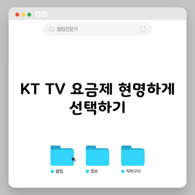 KT TV 요금제 현명하게 선택하기