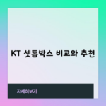 KT 셋톱박스 비교와 추천