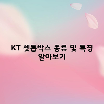 KT 셋톱박스 종류 및 특징 알아보기