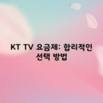 KT TV 요금제: 합리적인 선택 방법