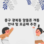 중구 광복동 알뜰폰 개통 안내 및 요금제 추천