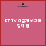 KT TV 요금제 비교와 절약 팁