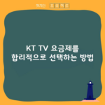 KT TV 요금제를 합리적으로 선택하는 방법