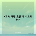 KT 인터넷 요금제 비교와 추천