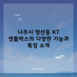 나주시 영산동 KT 셋톱박스의 다양한 기능과 특징 소개