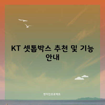 KT 셋톱박스 추천 및 기능 안내