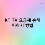 KT TV 요금제 손해 피하기 방법