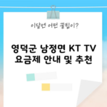 영덕군 남정면 KT TV 요금제 안내 및 추천