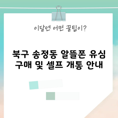 북구 송정동 휴대폰 성지 알뜰폰 sk kt lg 뽐뿌 유심 구매 및 셀프 개통 안내