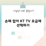 손해 없이 KT TV 요금제 선택하기