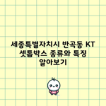 세종특별자치시 반곡동 KT 셋톱박스 종류와 특징 알아보기