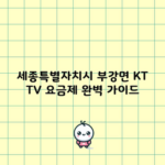 세종특별자치시 부강면 KT TV 요금제 완벽 가이드