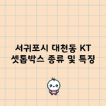 서귀포시 대천동 KT 셋톱박스 종류 및 특징