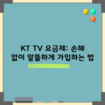 KT TV 요금제: 손해 없이 알뜰하게 가입하는 법