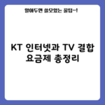 KT 인터넷과 TV 결합 요금제 총정리