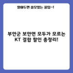 부안군 보안면 모두가 모르는 KT 결합 할인 총정리!