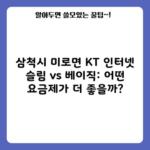 삼척시 미로면 KT 인터넷 슬림 vs 베이직: 어떤 요금제가 더 좋을까?