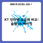 KT 인터넷 요금제 비교: 슬림 vs 베이직