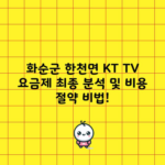 화순군 한천면 KT TV 요금제 최종 분석 및 비용 절약 비법!