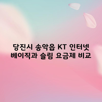 당진시 송악읍 KT 인터넷 베이직과 슬림 요금제 비교