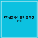 KT 셋톱박스 종류 및 특징 분석