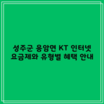 성주군 용암면 KT 인터넷 요금제와 유형별 혜택 안내