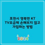 포천시 영북면 KT TV요금제 손해보지 않고 가입하는 방법