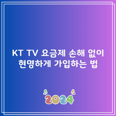 KT TV 요금제 손해 없이 현명하게 가입하는 법