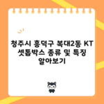 청주시 흥덕구 복대2동 KT 셋톱박스 종류 및 특징 알아보기