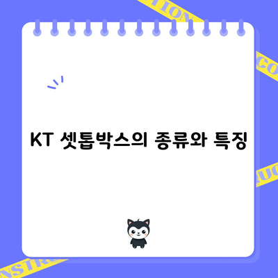 KT 셋톱박스의 종류와 특징