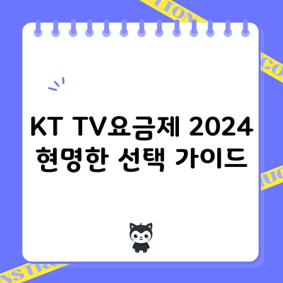 KT TV요금제 2024 현명한 선택 가이드