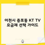 이천시 증포동 KT TV 요금제 선택 가이드