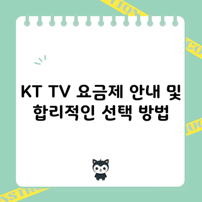 KT TV 요금제 안내 및 합리적인 선택 방법