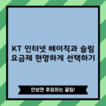 KT 인터넷 베이직과 슬림 요금제 현명하게 선택하기