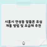 시흥시 연성동 알뜰폰 유심 kt 바로 유심 아이즈 리브 개통 방법 및 요금제 추천