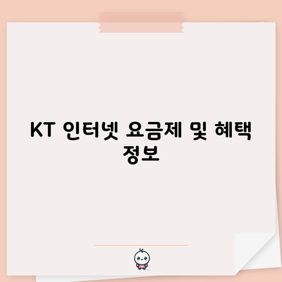 KT 인터넷 요금제 및 혜택 정보