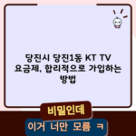 당진시 당진1동 KT TV 요금제, 합리적으로 가입하는 방법