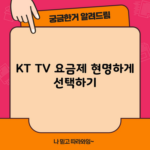 KT TV 요금제 현명하게 선택하기