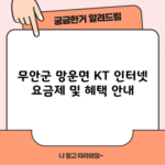 무안군 망운면 KT 인터넷 요금제 및 혜택 안내