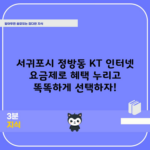 서귀포시 정방동 KT 인터넷 요금제로 혜택 누리고 똑똑하게 선택하자!